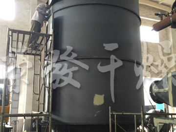 銀杏葉的專用盤式干燥機生產線